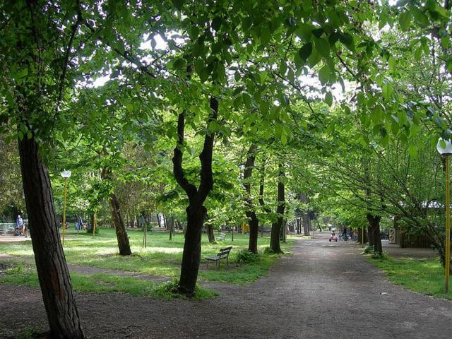 Villa Grazia Виареджо Екстериор снимка